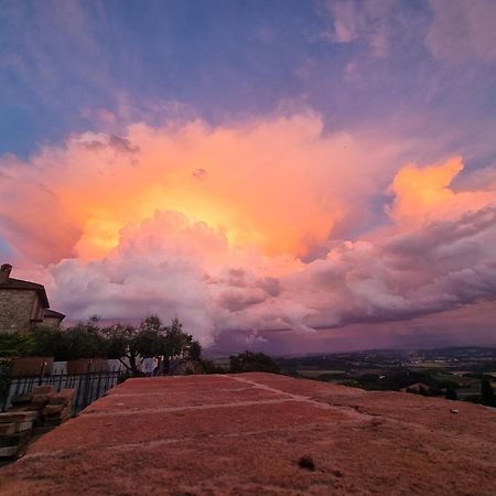 Vesionica Holiday House Perugia Civitella Benazzone المظهر الخارجي الصورة